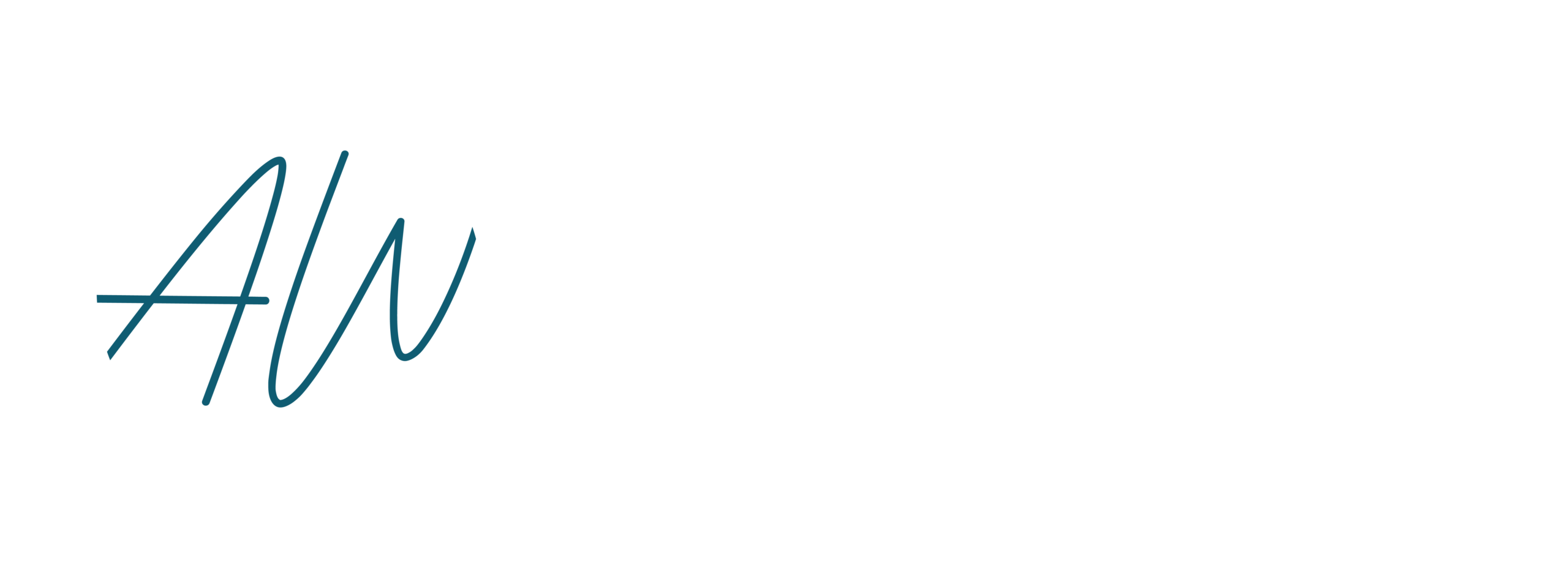 Dr Anne Werner_RGB_Digital_Logo_White